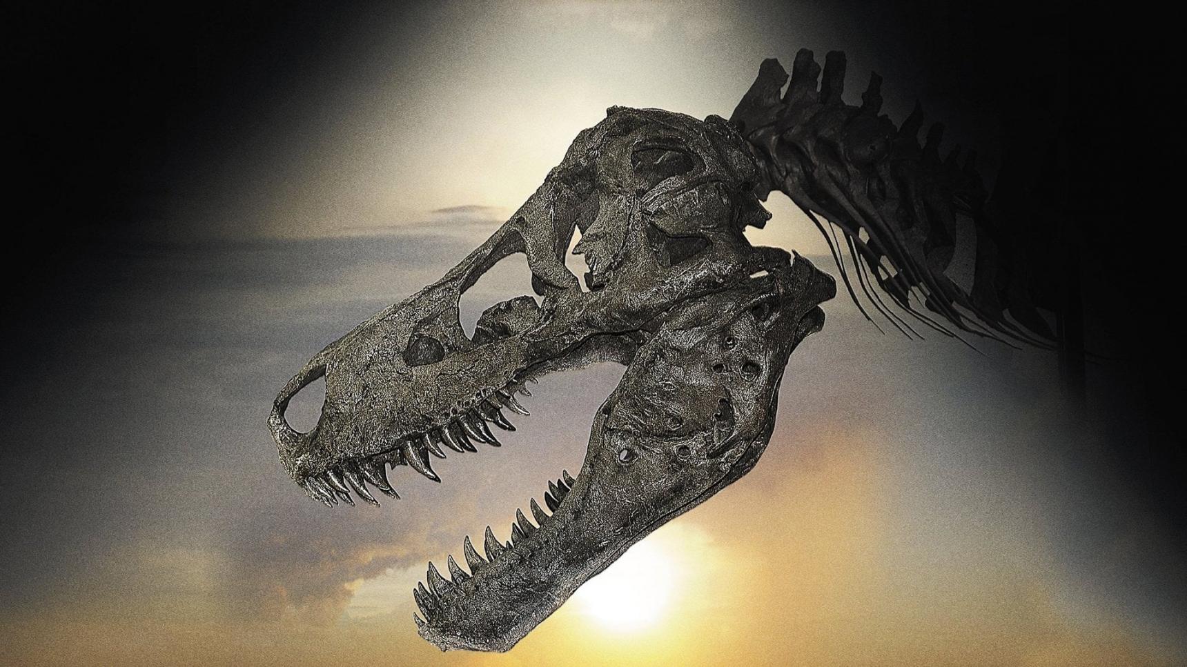 poster de Dinosaur 13