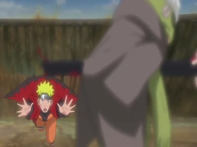 Poster del episodio 165 de Naruto Shippuden online
