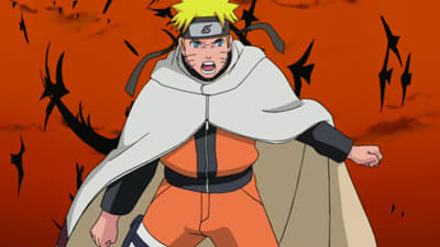 Poster del episodio 213 de Naruto Shippuden online