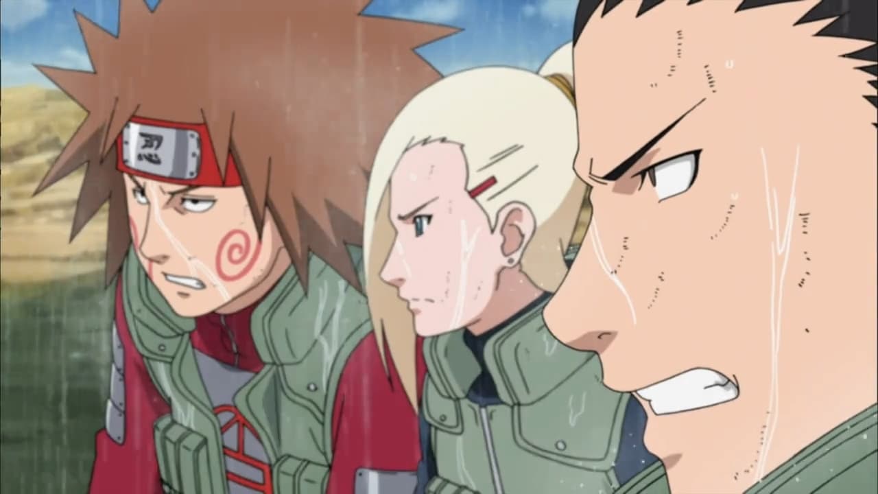 Poster del episodio 315 de Naruto Shippuden online
