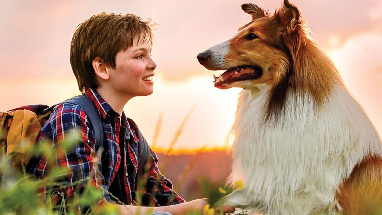 Fondo de pantalla de la película Lassie Vuelve a Casa en CUEVANA3 gratis