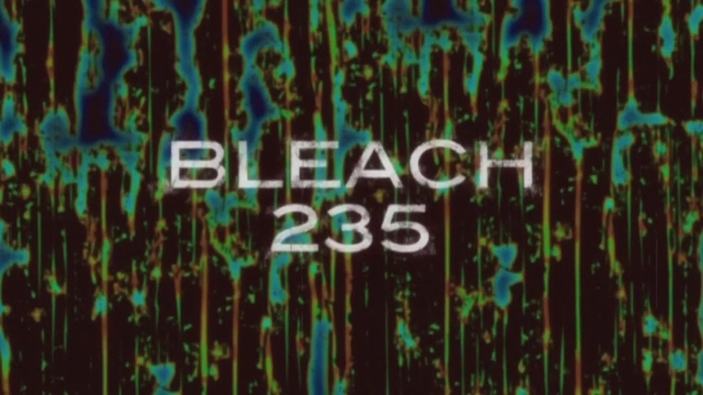 Poster del episodio 235 de Bleach online