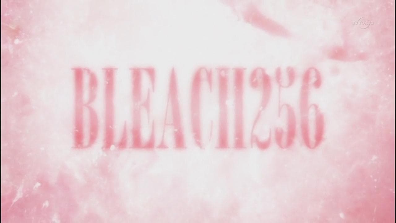 Poster del episodio 256 de Bleach online