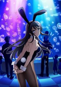 poster de Seishun Buta Yarou wa Bunny Girl Senpai no Yume wo Minai, temporada 1, capítulo 10 gratis HD